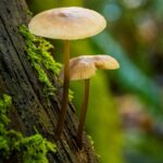 Web3 ecosystem growth