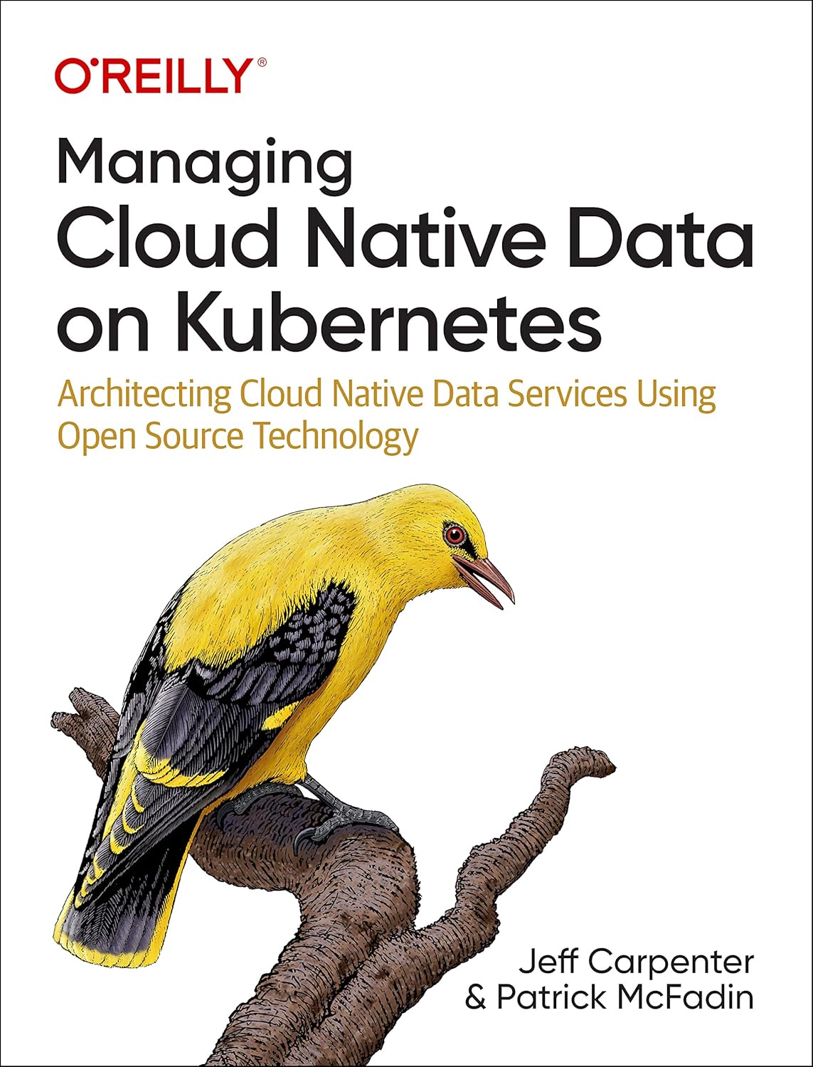 Cloud Native Data Management on Kubernetes Guide - AiBlockChained