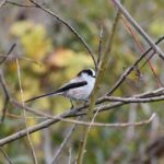 solidity beginner guide