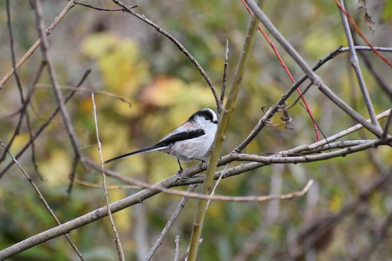 solidity beginner guide