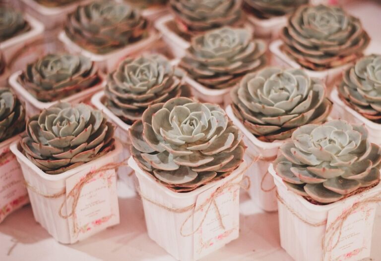 DeFi governance tokens